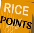 বিশ্বস্ত চালের ঠিকানা Ricepoints – ঘরে বসে মানসম্মত চাল অর্ডার করুন |
